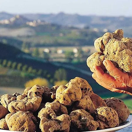 Appartamento Arte&vino - Casa Con Wifi E Aria Condizionata